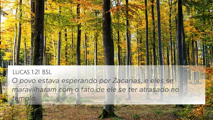 Lucas 1:21 BSL Bible Verse Image