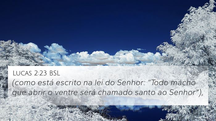 Lucas 2:23 BSL Bible Verse Image