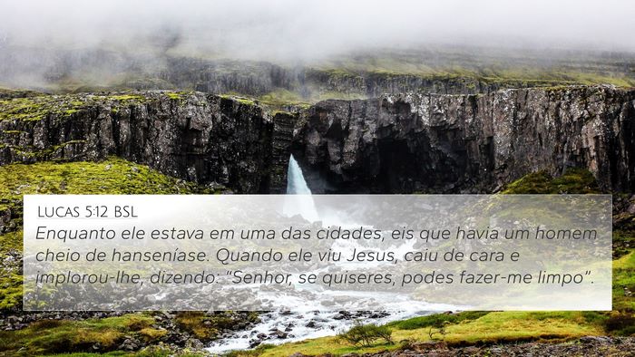 Lucas 5:12 BSL Bible Verse Image