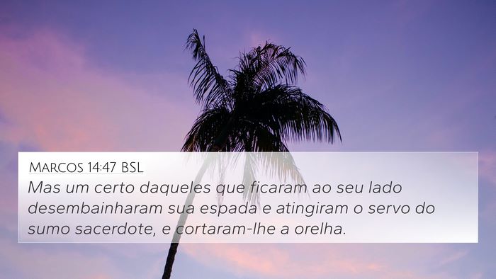 Marcos 14:47 BSL 4K Wallpaper - Mas um certo daqueles que ficaram ao seu lado - 4K Wallpaper Bible Verse