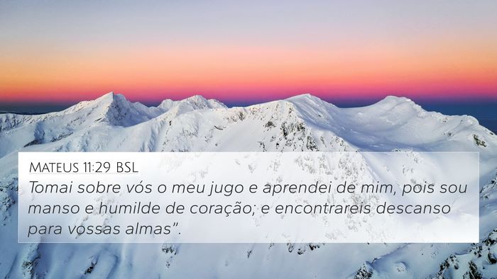 Mateus 11:29 BSL Bible Verse Image