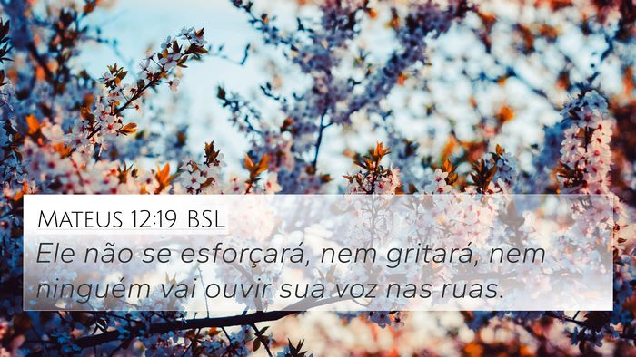 Mateus 12:19 BSL Bible Verse Image
