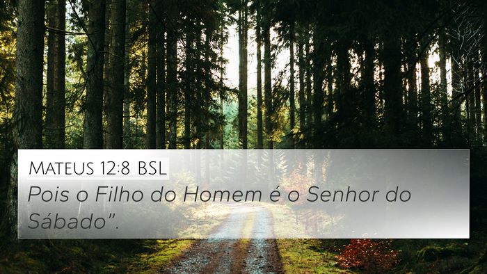 Mateus 12:8 BSL Bible Verse Image