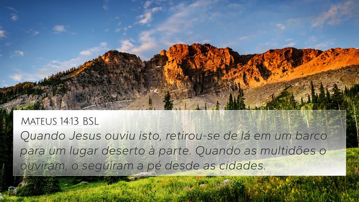 Mateus 14:13 BSL Bible Verse Image