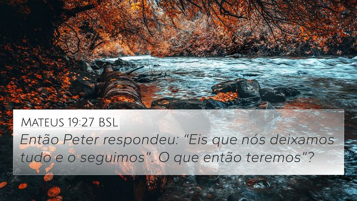 Mateus 19:27 BSL Bible Verse Image