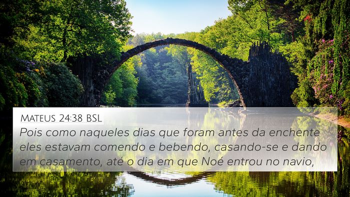 Mateus 24:38 BSL Bible Verse Image