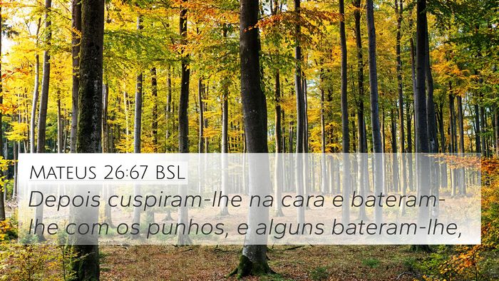 Mateus 26:67 BSL Bible Verse Image