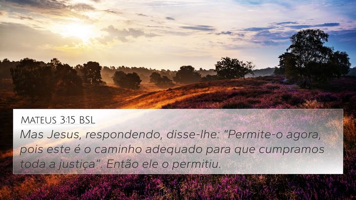 Mateus 3:15 BSL Bible Verse Image