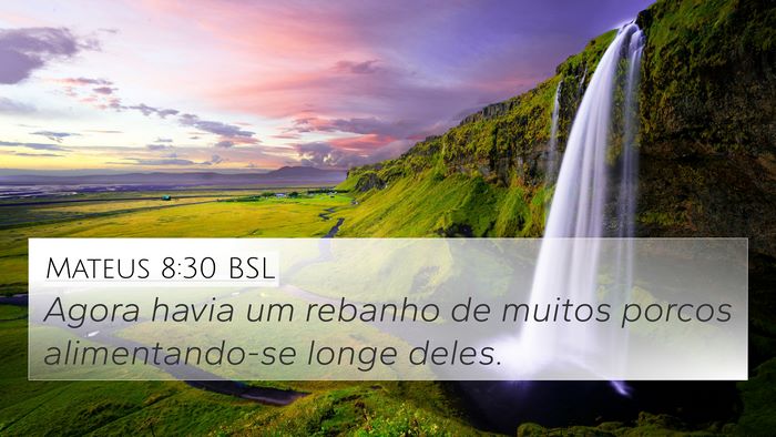 Mateus 8:30 BSL 4K Wallpaper - Agora havia um rebanho de muitos porcos - 4K Wallpaper Bible Verse