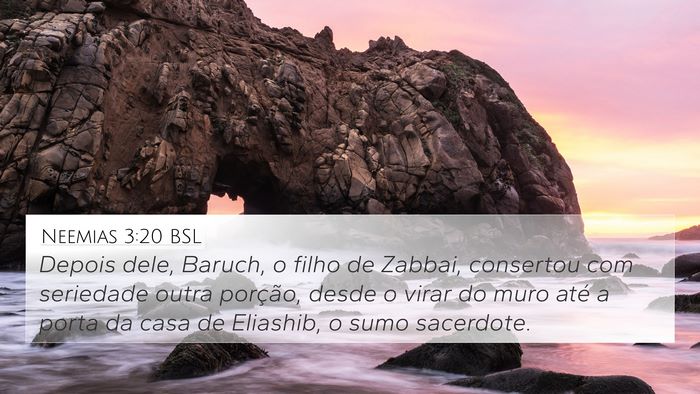 Neemias 3:20 BSL Bible Verse Image