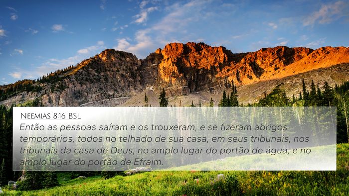 Neemias 8:16 BSL Bible Verse Image