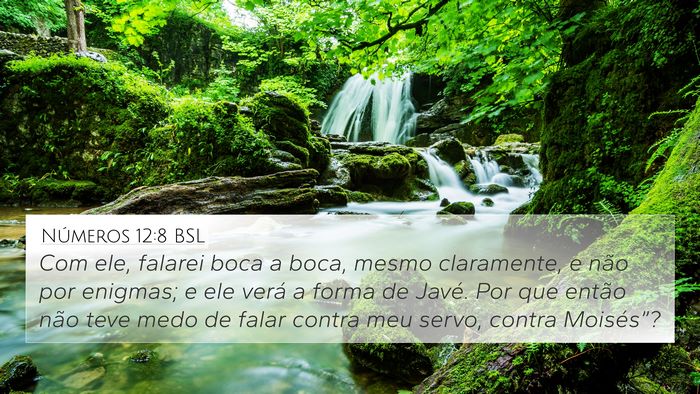 Números 12:8 BSL Bible Verse Image