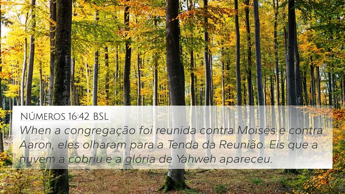 Números 16:42 BSL Bible Verse Image