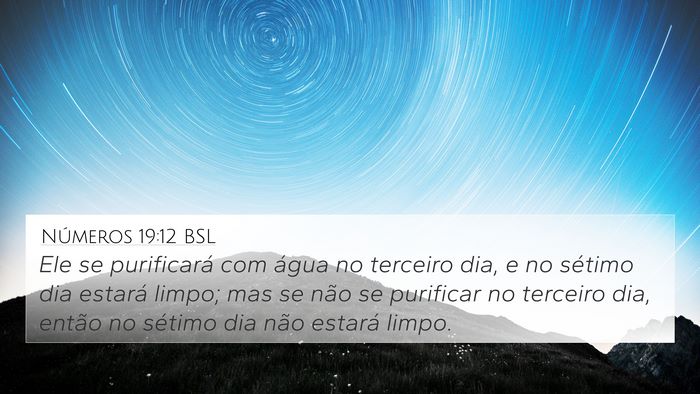 Números 19:12 BSL Bible Verse Image