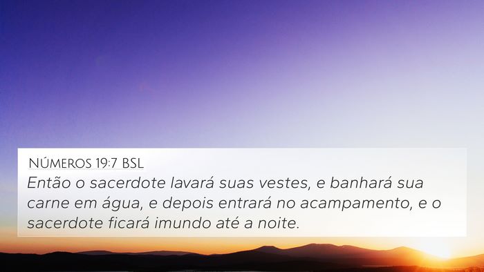 Números 19:7 BSL Bible Verse Image
