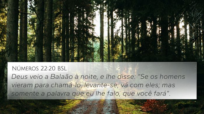 Números 22:20 BSL Bible Verse Image