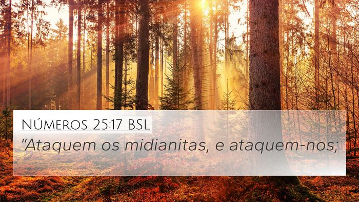 Números 25:17 BSL 4K Wallpaper - “Ataquem os midianitas, e - 4K Wallpaper Bible Verse