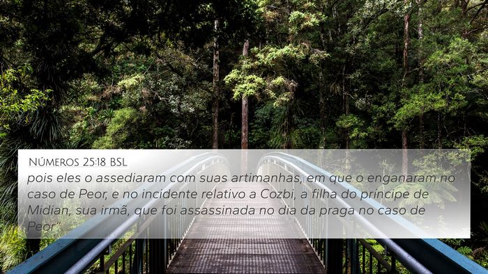 Números 25:18 BSL Bible Verse Image