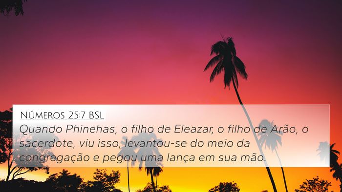 Números 25:7 BSL Bible Verse Image