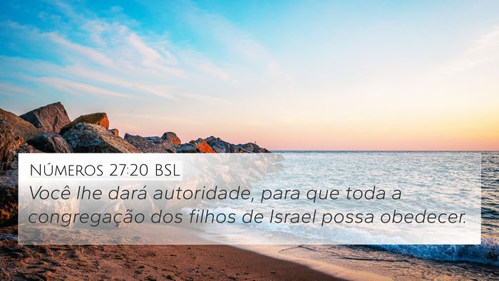 Números 27:20 BSL Bible Verse Image