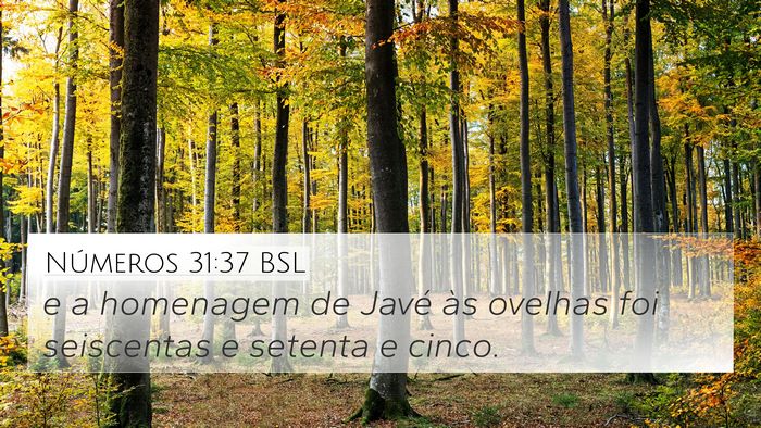 Números 31:37 BSL 4K Wallpaper - e a homenagem de Javé às ovelhas foi seiscentas - 4K Wallpaper Bible Verse