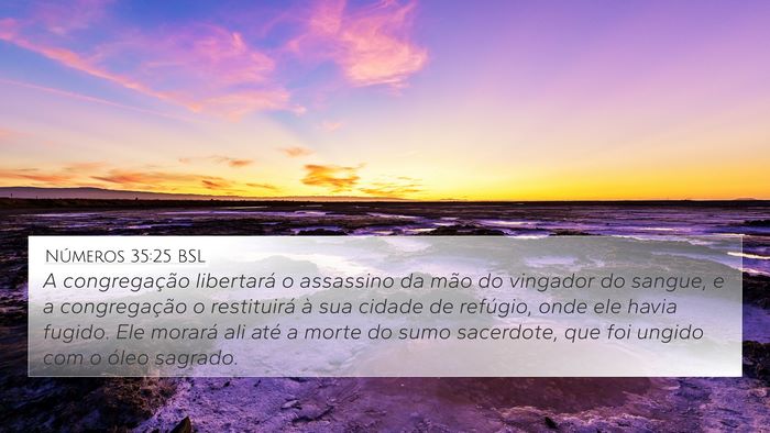 Números 35:25 BSL Bible Verse Image