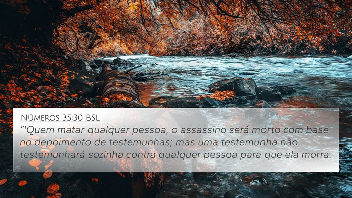 Números 35:30 BSL Bible Verse Image