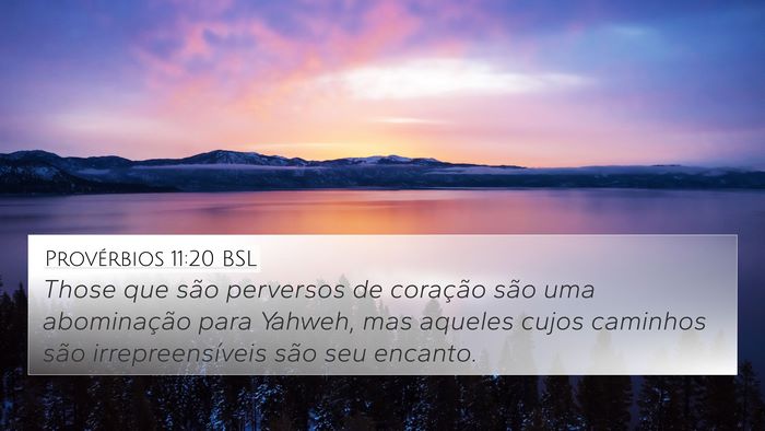Provérbios 11:20 BSL Bible Verse Image