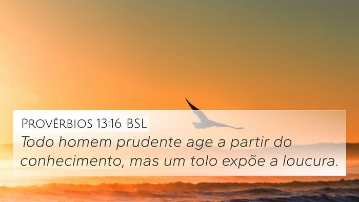 Provérbios 13:16 BSL Bible Verse Image
