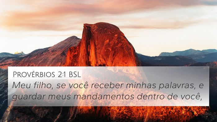 Provérbios 2:1 BSL Bible Verse Image