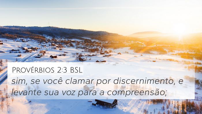 Provérbios 2:3 BSL 4K Wallpaper - sim, se você clamar por discernimento, e levante - 4K Wallpaper Bible Verse