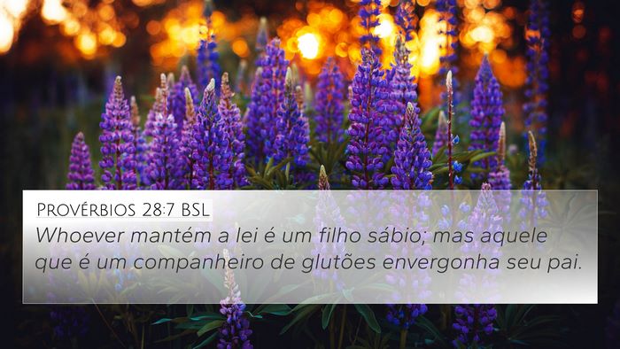 Provérbios 28:7 BSL Bible Verse Image