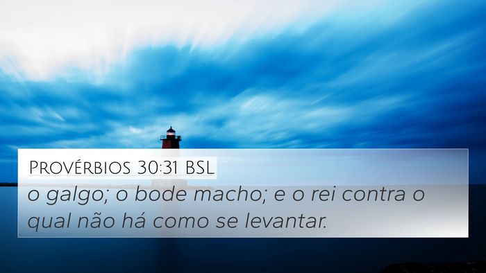 Provérbios 30:31 BSL Bible Verse Image