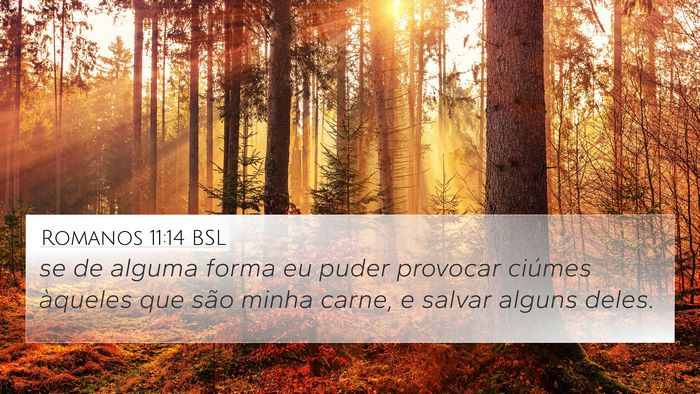 Romanos 11:14 BSL Bible Verse Image