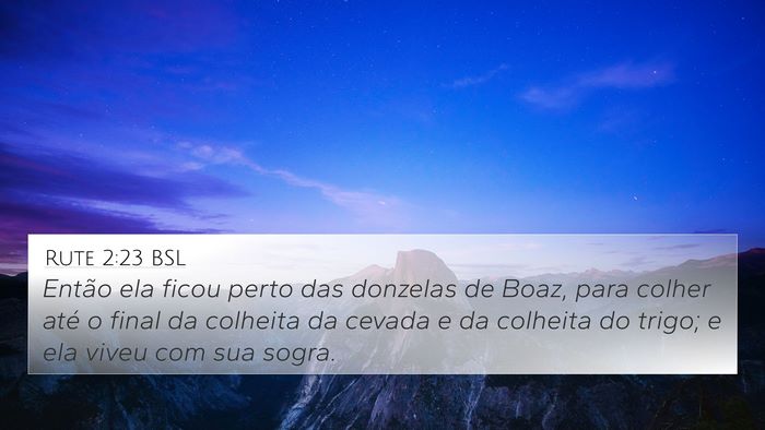 Rute 2:23 BSL 4K Wallpaper - Então ela ficou perto das donzelas de Boaz, para - 4K Wallpaper Bible Verse