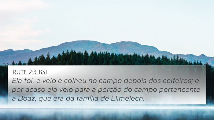 Rute 2:3 BSL Bible Verse Image