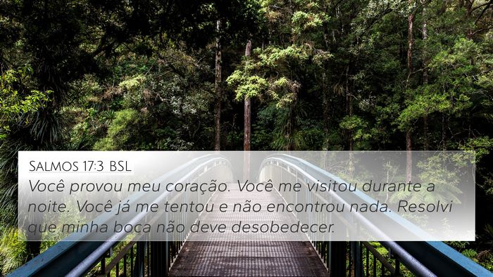 Salmos 17:3 BSL Bible Verse Image