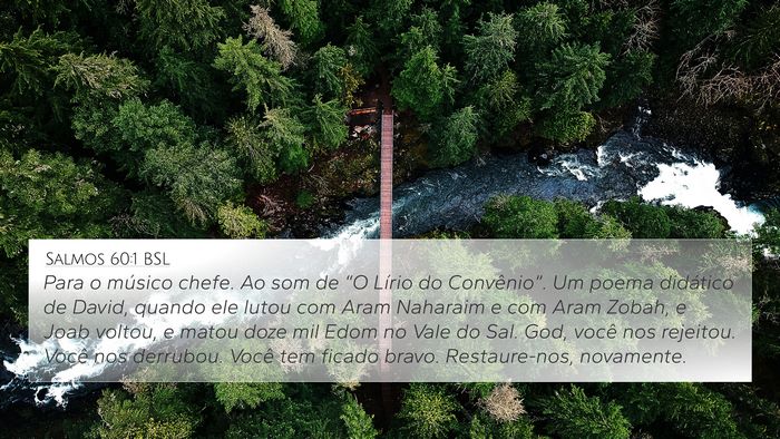 Salmos 60:1 BSL Bible Verse Image