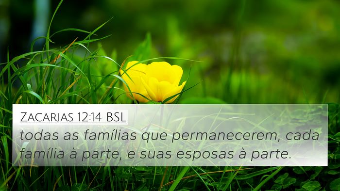 Zacarias 12:14 BSL 4K Wallpaper - todas as famílias que permanecerem, cada - 4K Wallpaper Bible Verse