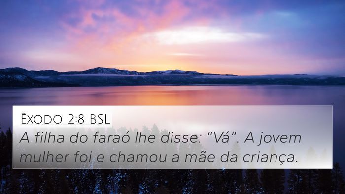 Êxodo 2:8 BSL 4K Wallpaper - A filha do faraó lhe disse: “Vá”. A jovem - 4K Wallpaper Bible Verse