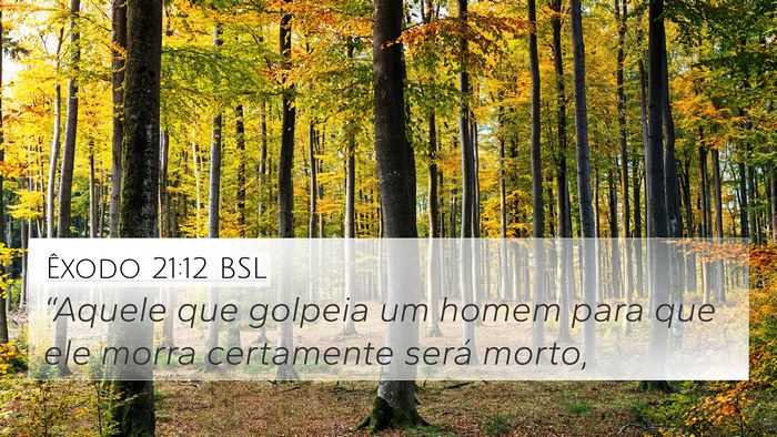 Êxodo 21:12 BSL Bible Verse Image