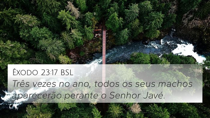 Êxodo 23:17 BSL Bible Verse Image