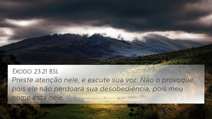 Êxodo 23:21 BSL Bible Verse Image