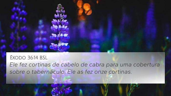 Êxodo 36:14 BSL Bible Verse Image