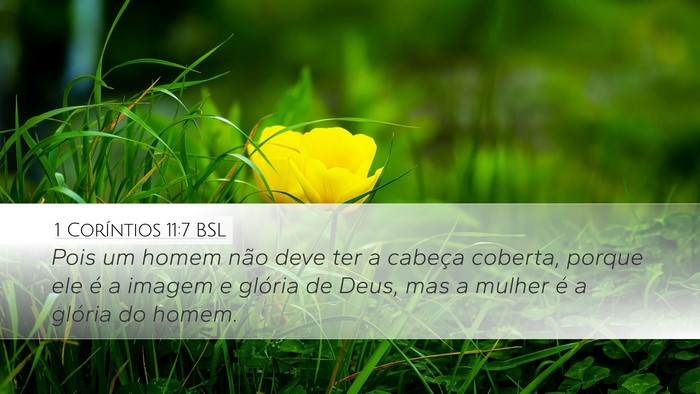 1 Coríntios 11:7 BSL Bible Verse Image