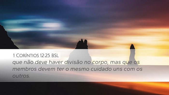 1 Coríntios 12:25 BSL Bible Verse Image