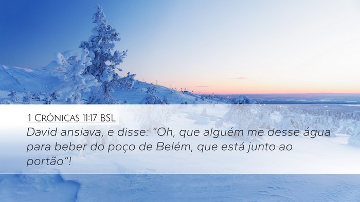 1 Crônicas 11:17 BSL Desktop Wallpaper - David ansiava, e disse: “Oh, que alguém me - Desktop Bible Verse Wallpaper