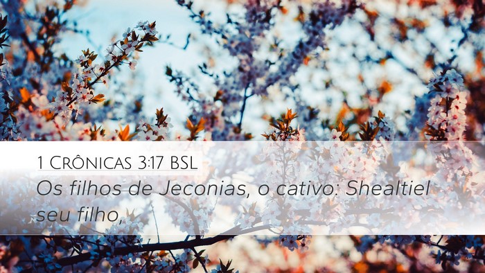 1 Crônicas 3:17 BSL Bible Verse Image