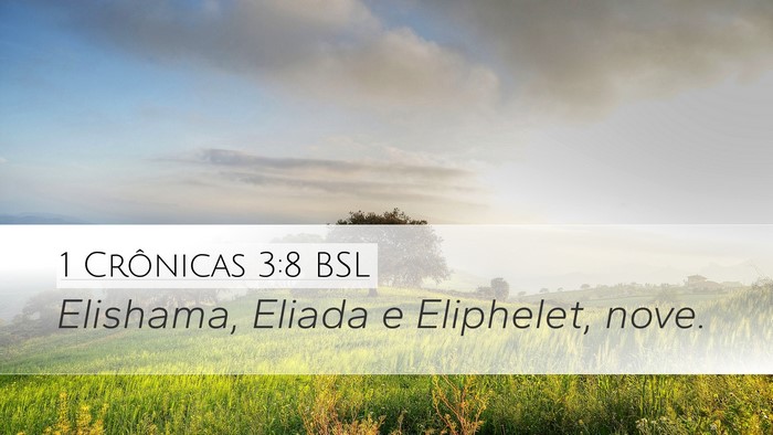 1 Crônicas 3:8 BSL Bible Verse Image