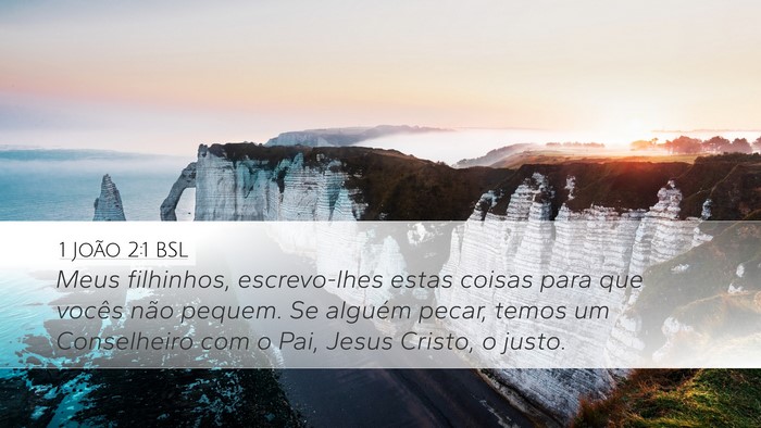 1 João 2:1 BSL Bible Verse Image